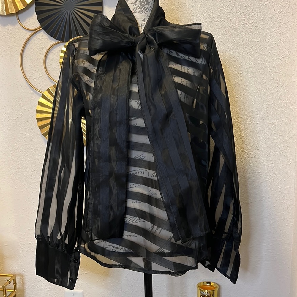 Black sheer blouse